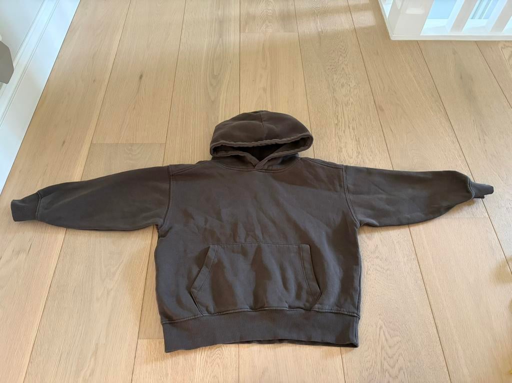 Hoodie Zara maat 120, Kinderen en Baby's, Kinderkleding | Maat 116, Ophalen of Verzenden, Zo goed als nieuw, Jongen, Trui of Vest