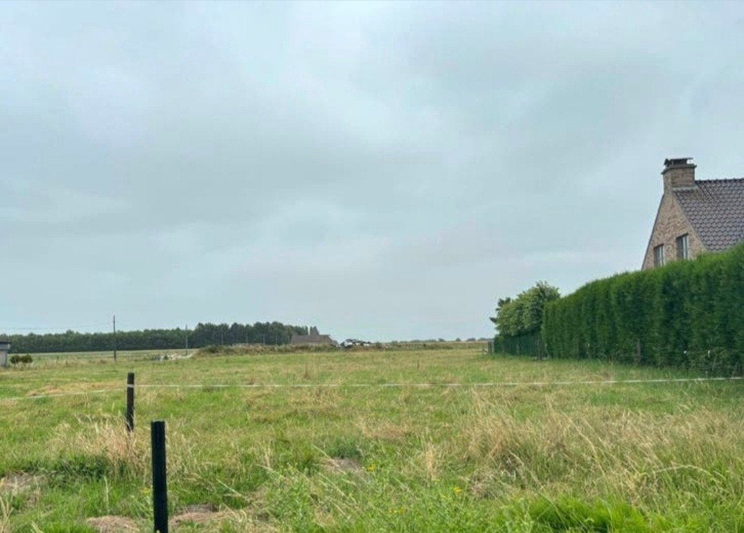 Bouwgrond Kruishoutem te koop, Immo