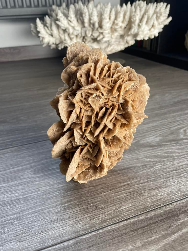Woestijnroos, Verzamelen, Ophalen of Verzenden, Mineraal