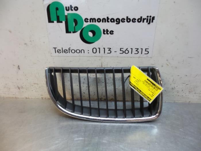 Calandre d'un BMW 3-Serie (3-Serie 04-), -, 3 mois de garantie, Utilisé, -