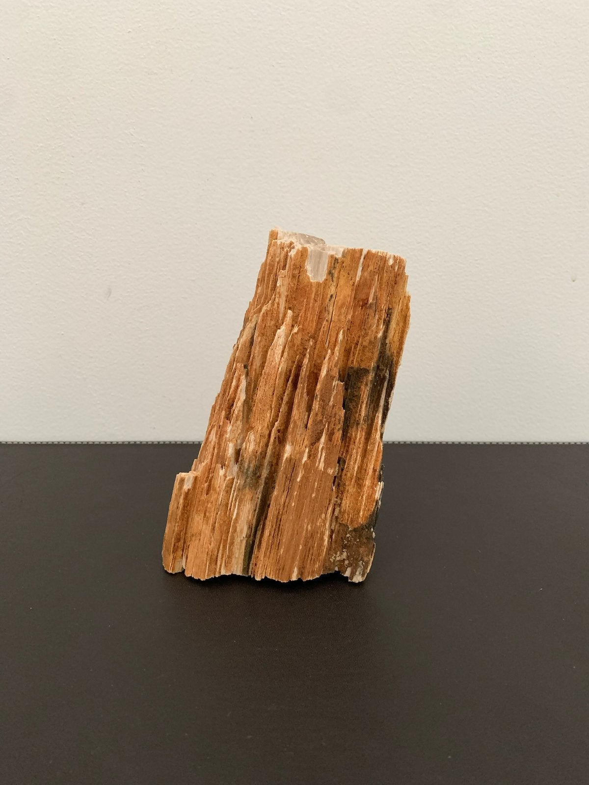 Versteend versteend hout, Ophalen of Verzenden