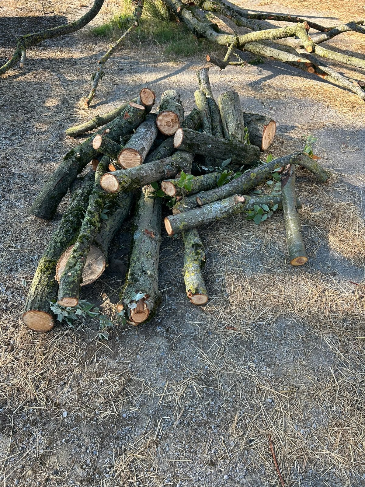 Bois a vendre, Enlèvement