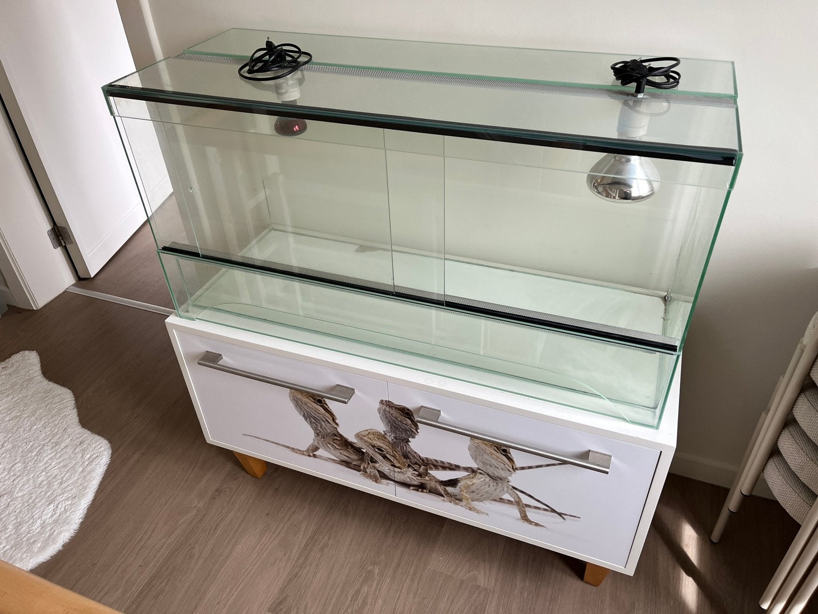 Terrarium met maatmeubel baardagaam, Enlèvement, Utilisé, Terrarium ou Paludarium