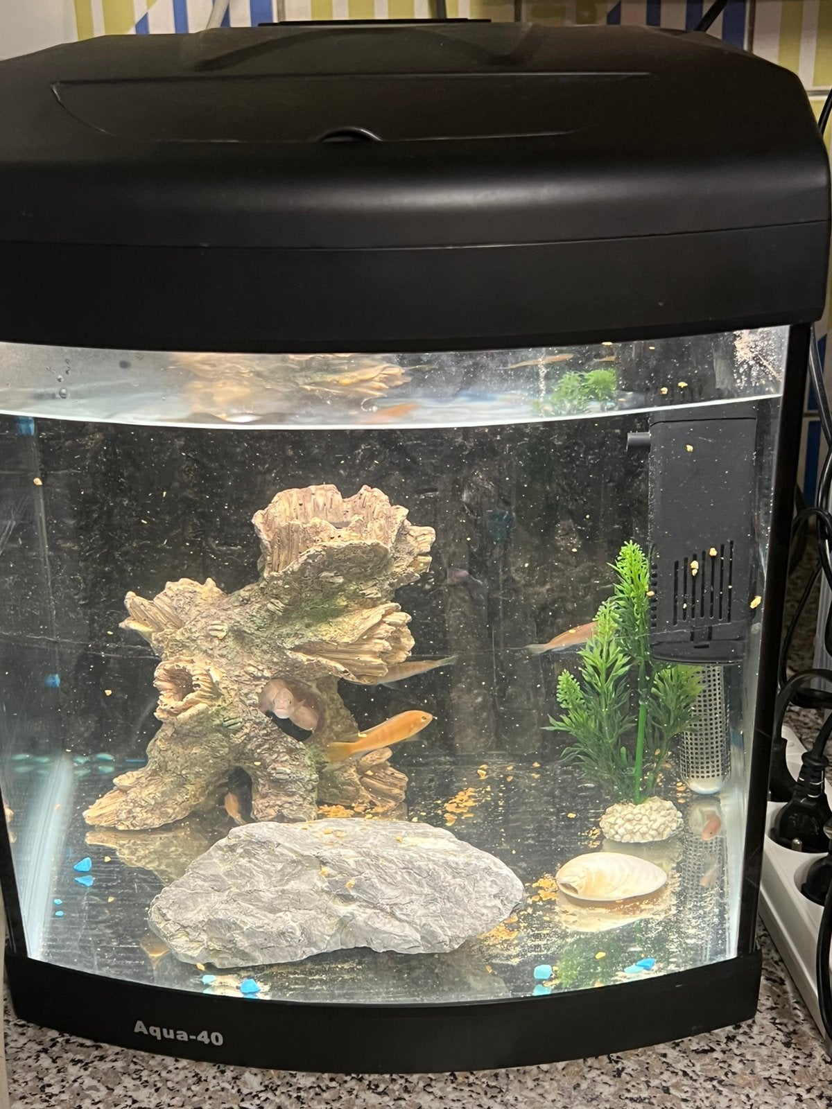 Aquarium met vissen, Enlèvement, Pompe, Comme neuf