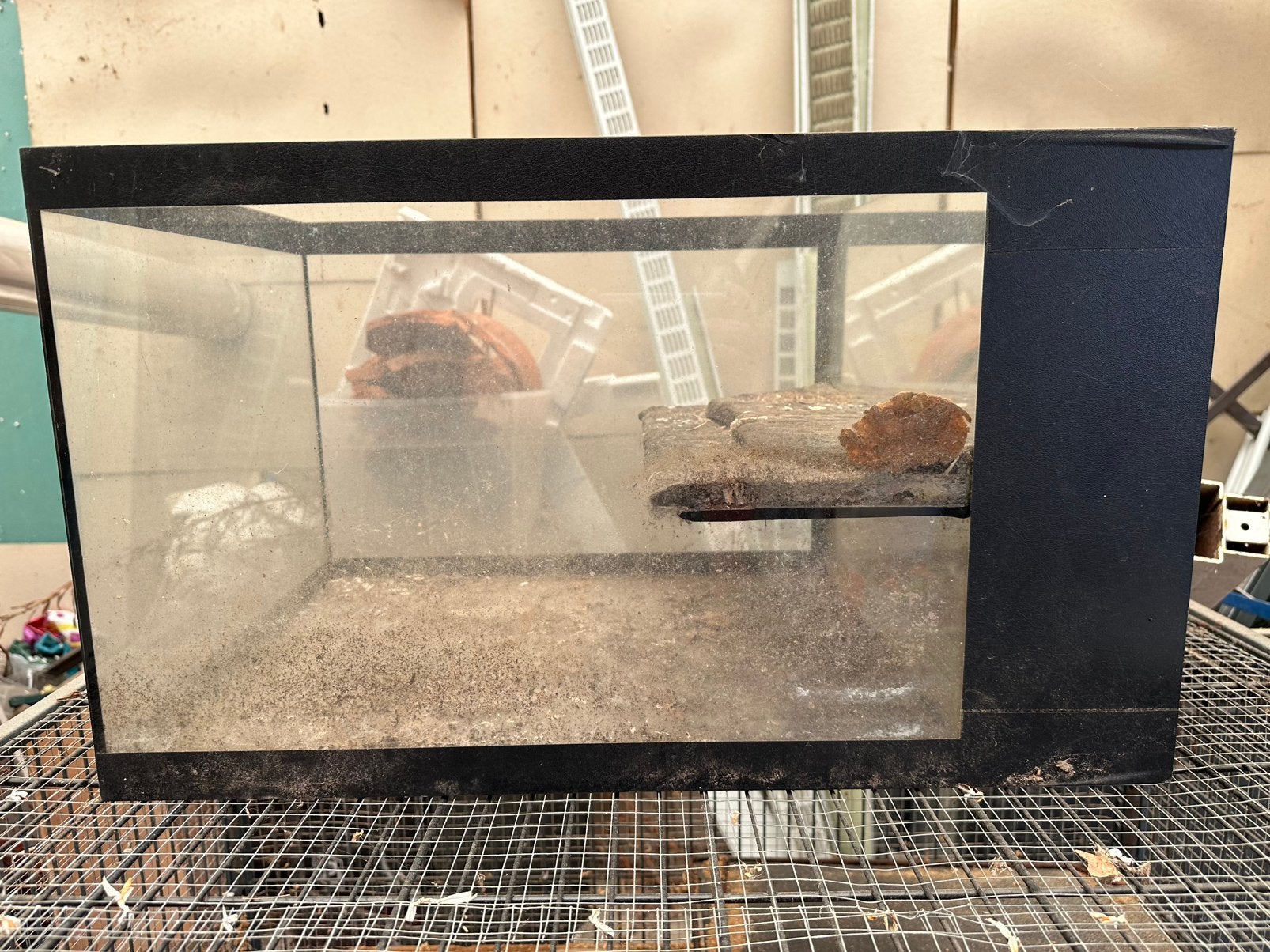 Verblijf amfibieën, Dieren en Toebehoren, Reptielen en Amfibieën | Toebehoren, Ophalen, Gebruikt, Terrarium of Paludarium