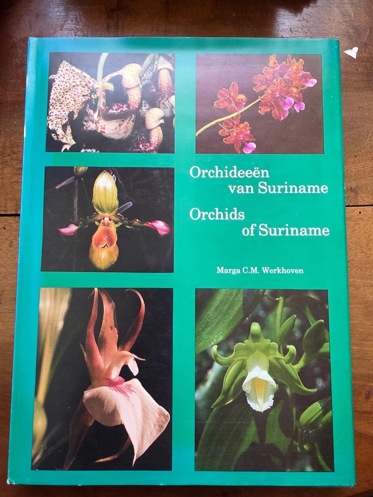 Orchideeën van Suriname - Marga Werkhoven, Livres, Nature, Marga C.M. Werkhoven, Enlèvement ou Envoi, Comme neuf, Autres sujets/thèmes