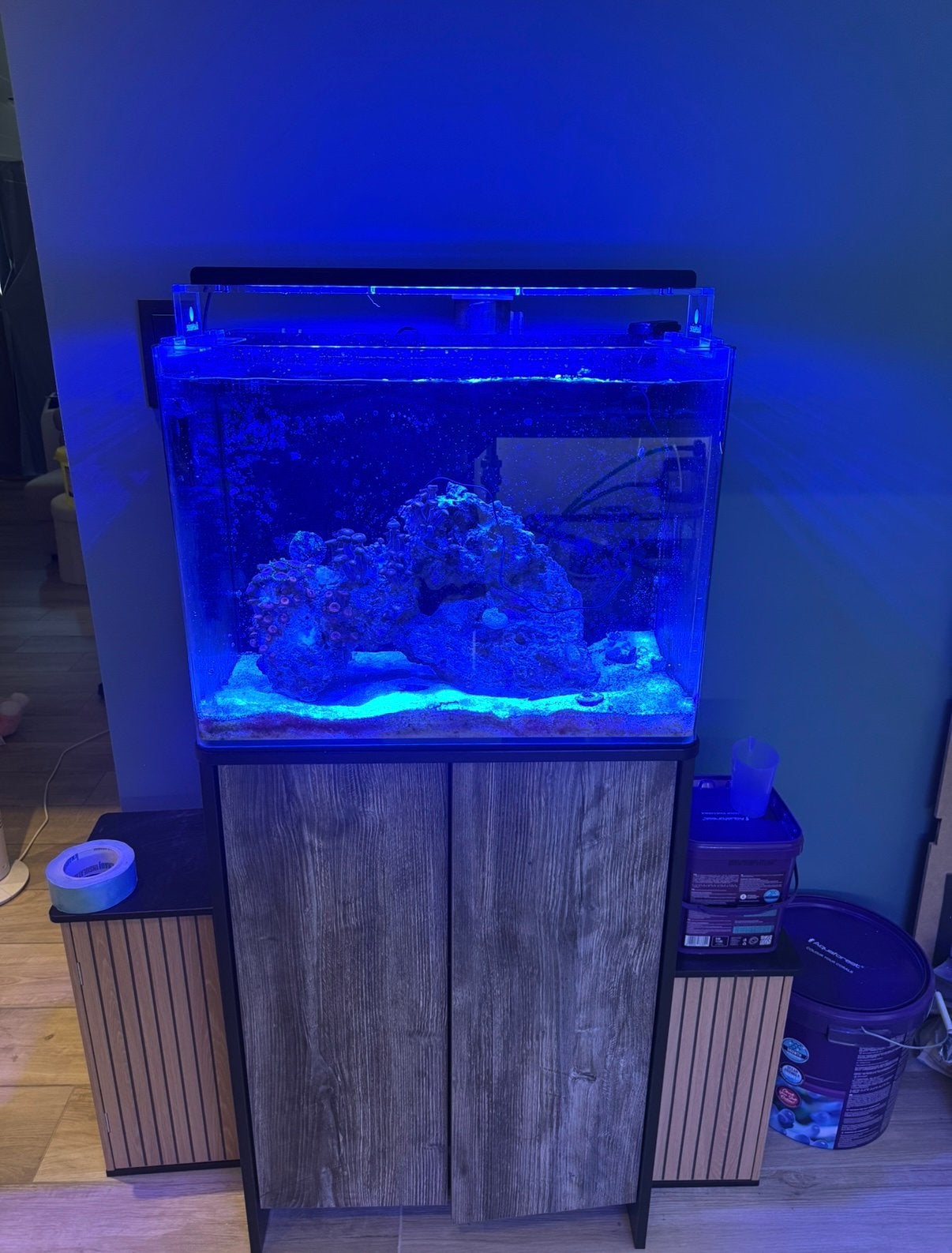 Zeewater aquarium, Ophalen, Pomp, Zo goed als nieuw, Blue Marine