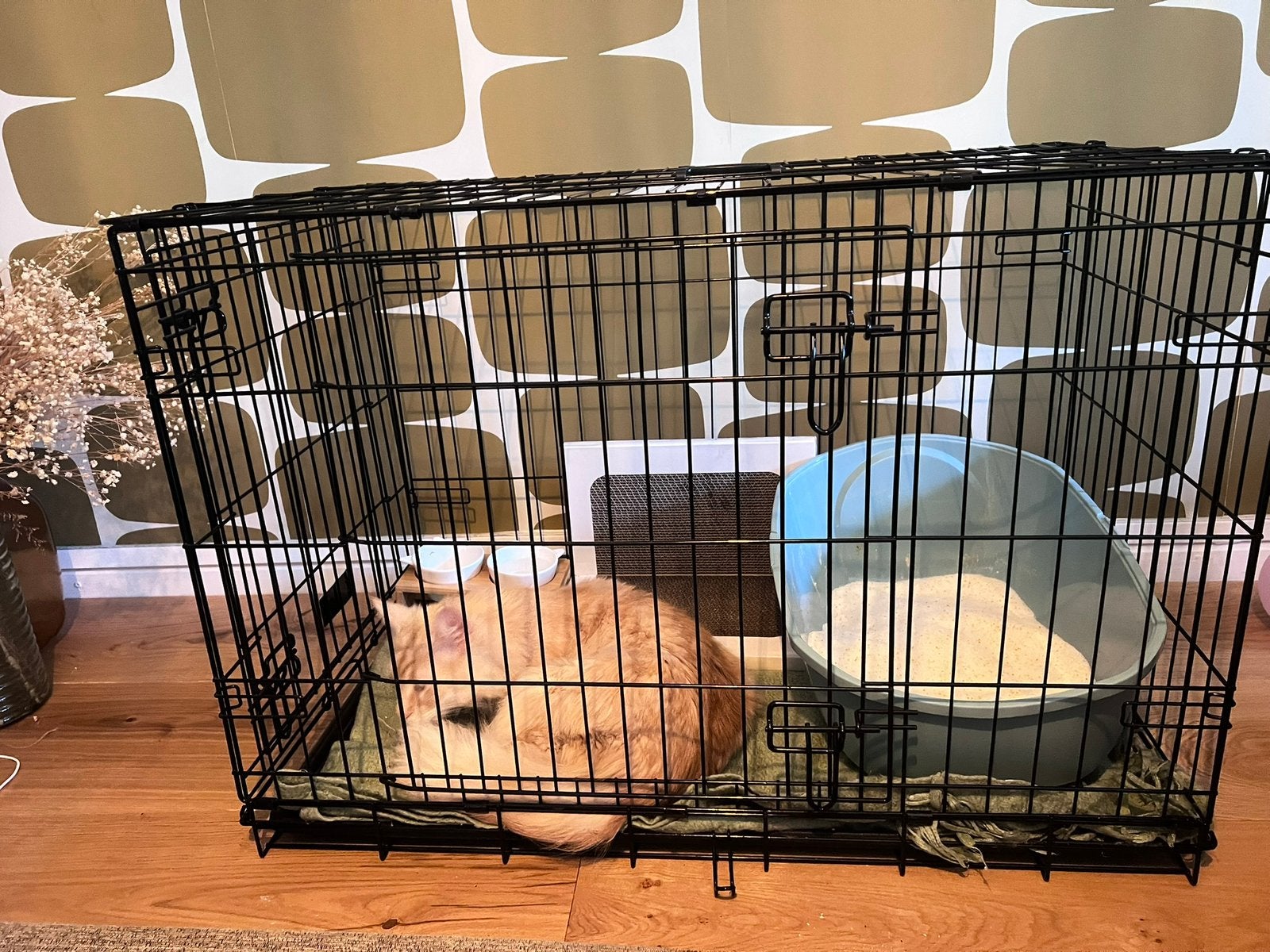 Bench- cage pour chien ou chat, Enlèvement, Comme neuf