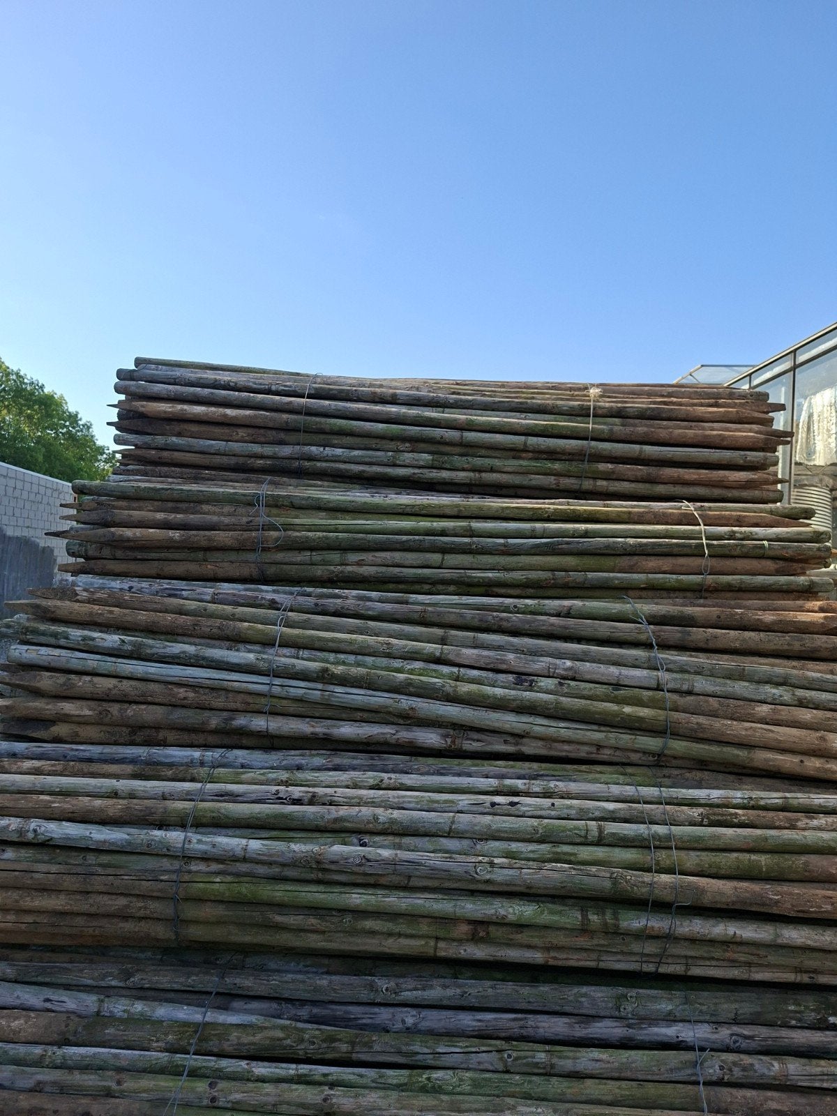 Houten palen 3 meter lang 7 dik met punt, Tuin en Terras, Schuttingen, Ophalen