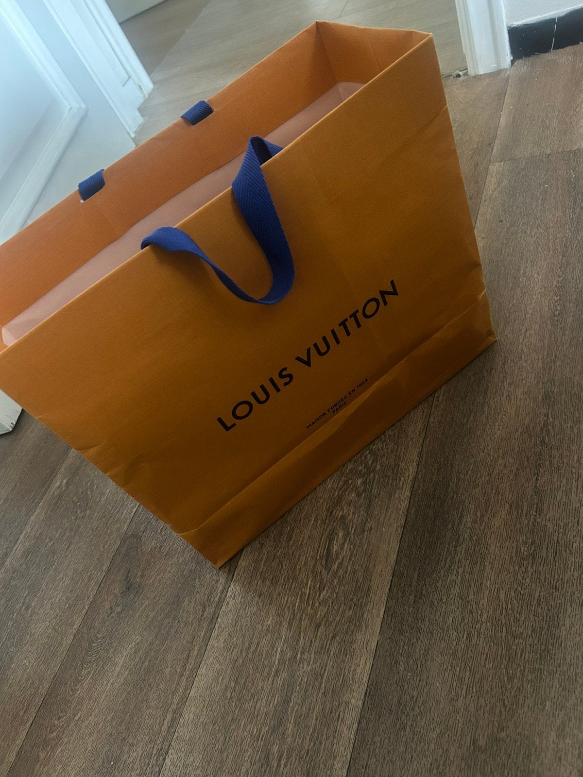 louis vuitton bag, Ophalen of Verzenden
