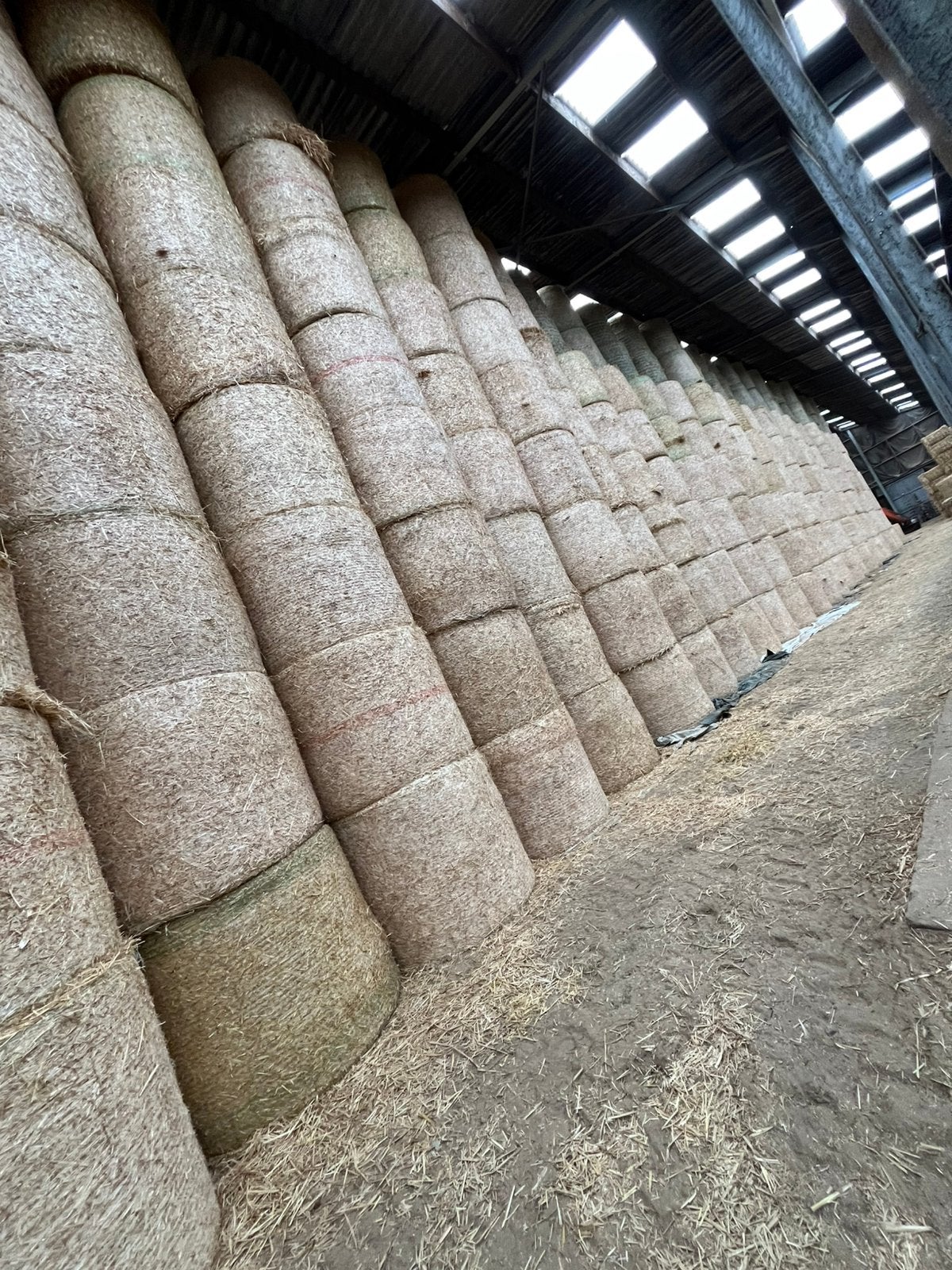 Kwaliteitsvol tarwe stro te koop van dit jaar, Dieren en Toebehoren, Ophalen