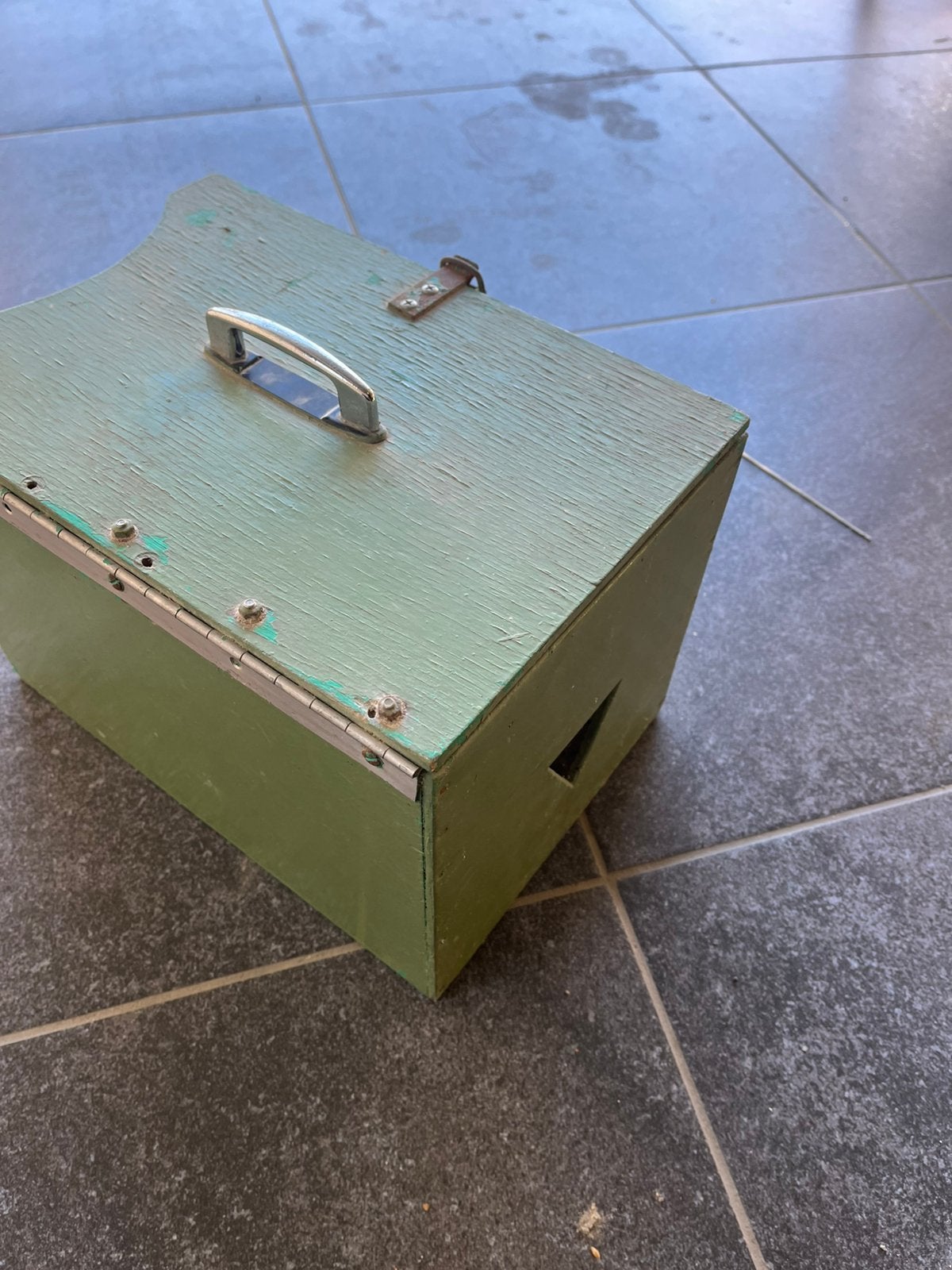 Hanen bot, Dieren en Toebehoren