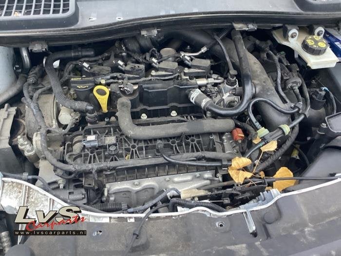 Motor van een Ford Kuga, Gebruikt, -, -, Ophalen of Verzenden