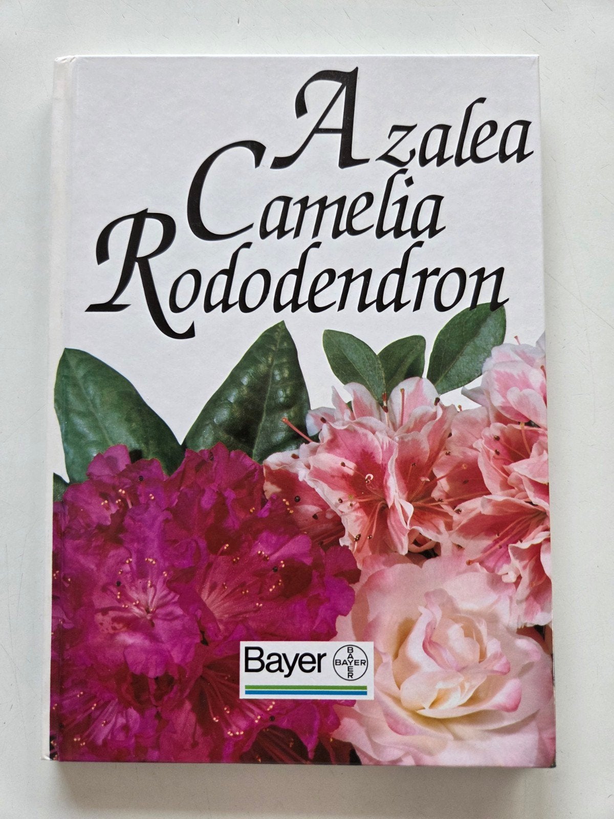 Azalea Camelia Rododendrons, Ophalen of Verzenden, Zo goed als nieuw
