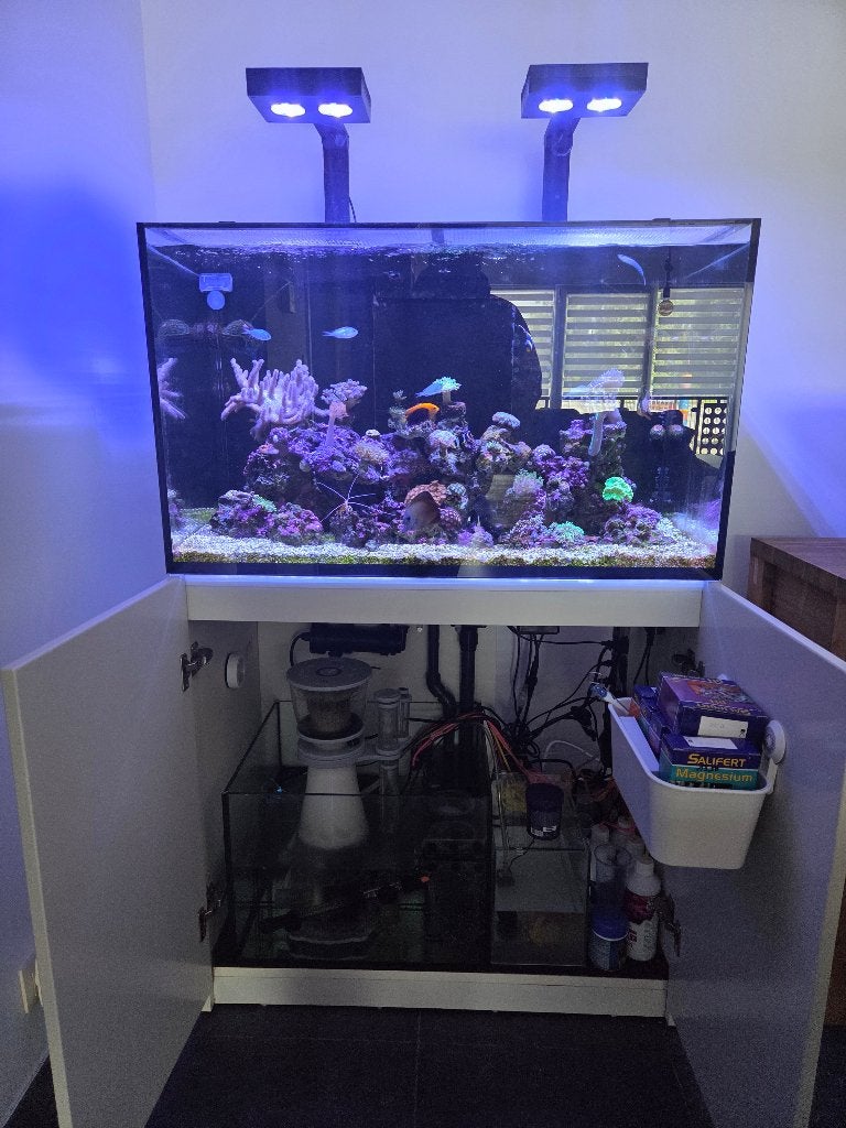Aquarium à vendre, Animaux & Accessoires, Red Sea, Poissons inclus, Comme neuf, Enlèvement