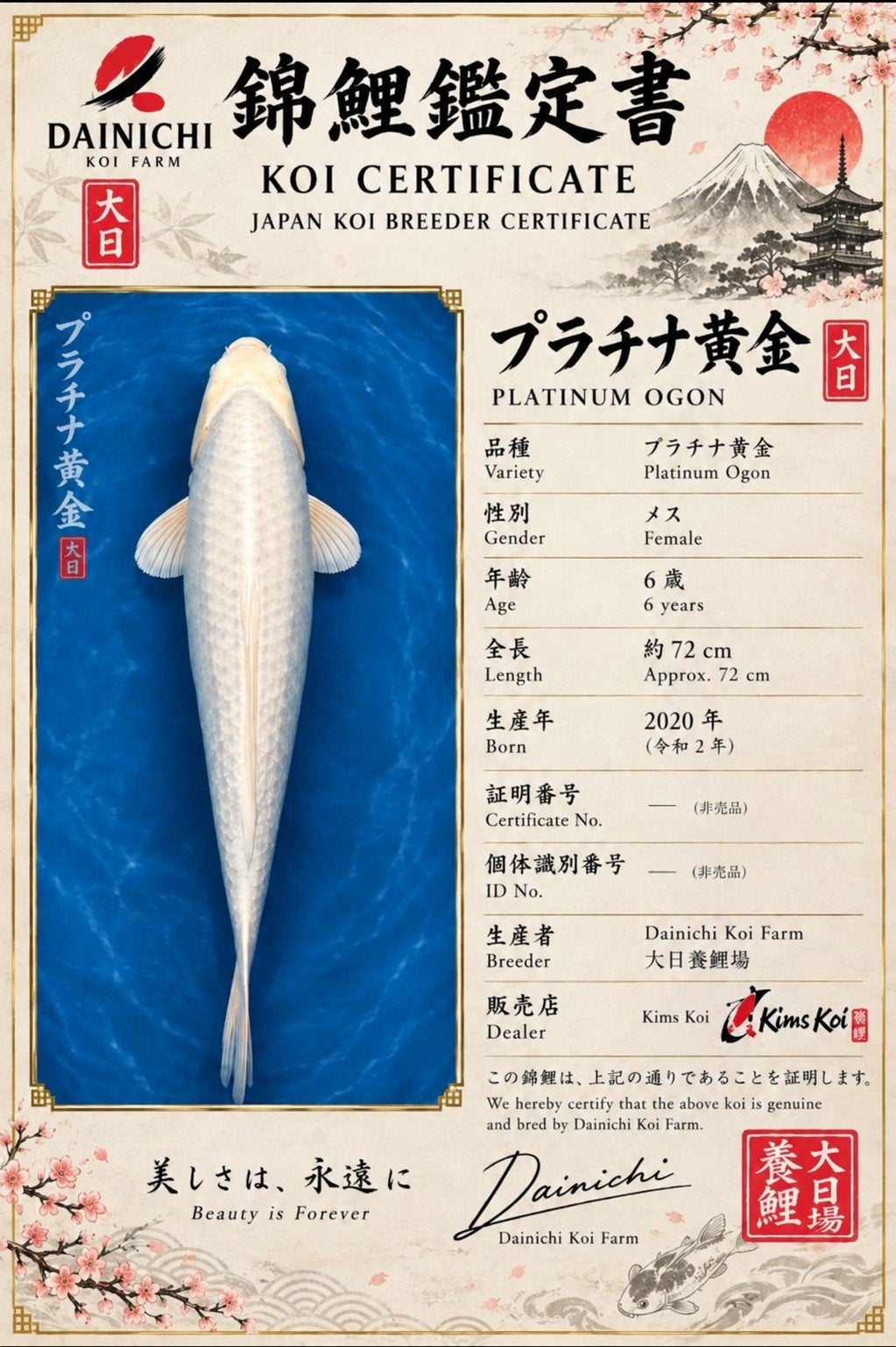 platinum ogon dainichi, Dieren en Toebehoren, Karper of Koi