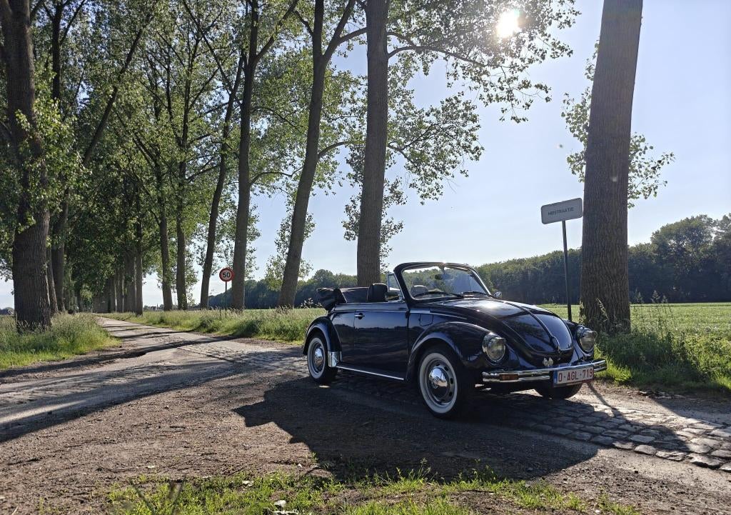 Charmante Kever, Auto's, Volkswagen, Cabriolet, Blauw, Handgeschakeld, Particulier