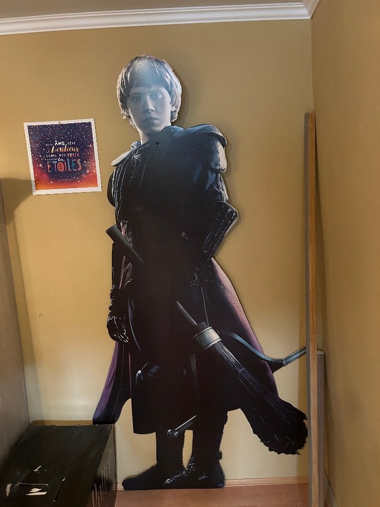 silhouette Ron Weasley, Enlèvement, Utilisé, Statue ou Buste