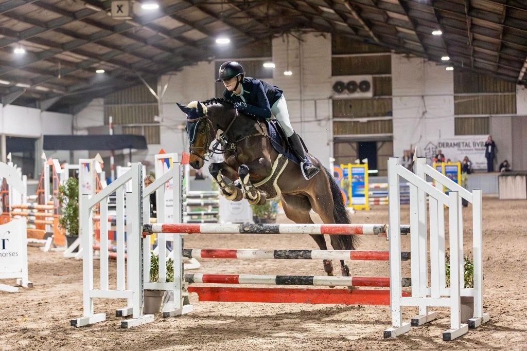 sport pony, Dieren en Toebehoren, Merrie, Met stamboom, Springpony, 11 jaar of ouder