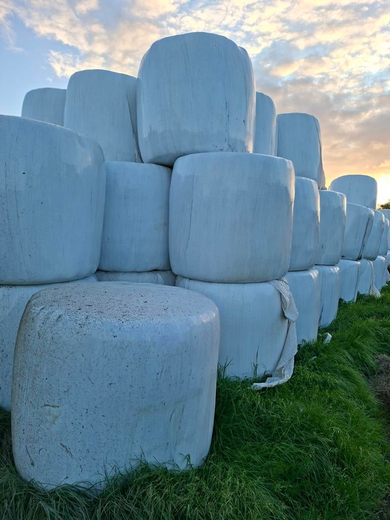 Gewikkelde balen, Dieren en Toebehoren, Dierenvoeding, Ophalen