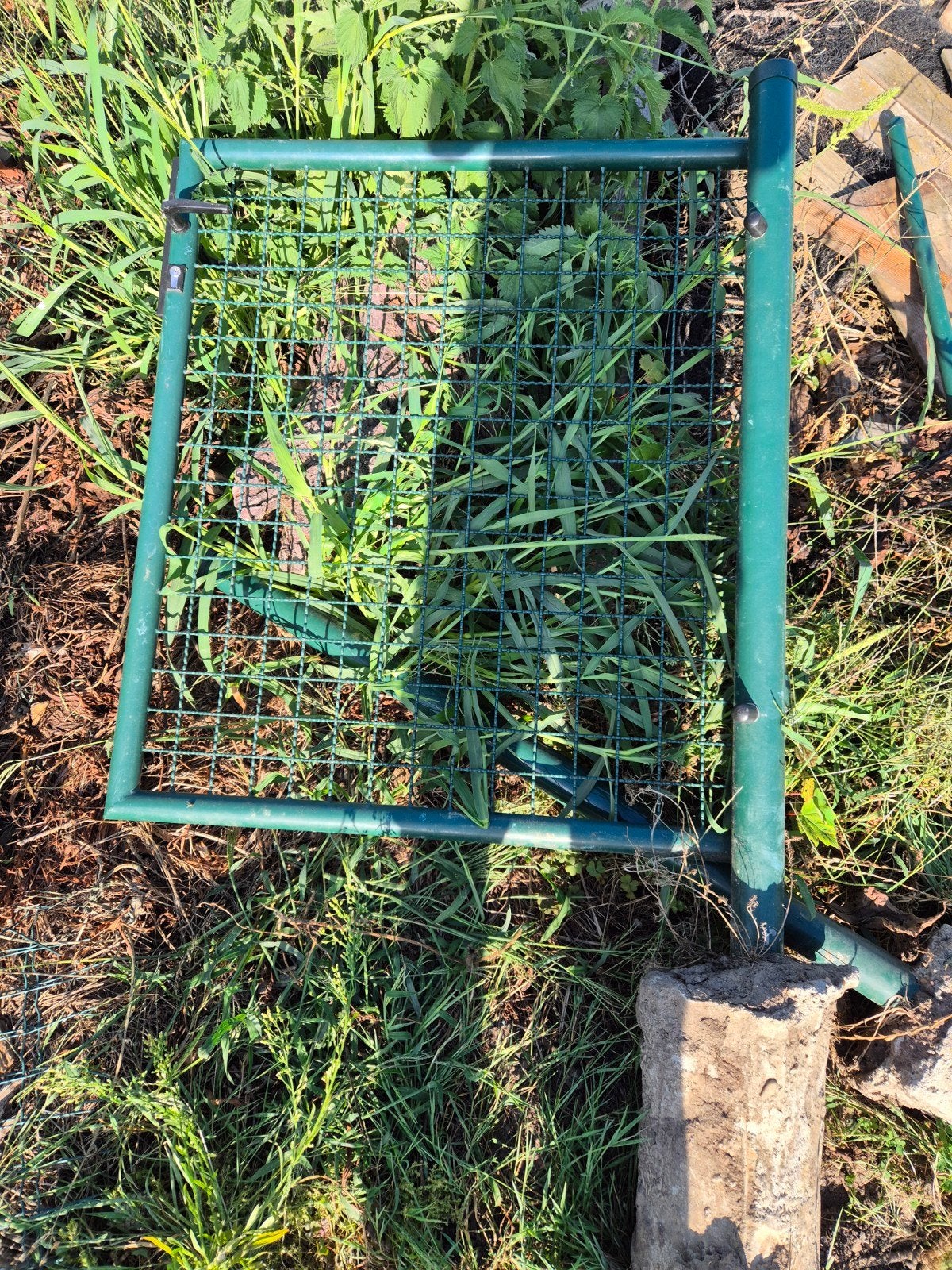Tuinpoort 1m op 87cm, Ophalen, Met poort, Gebruikt, Tuinhek