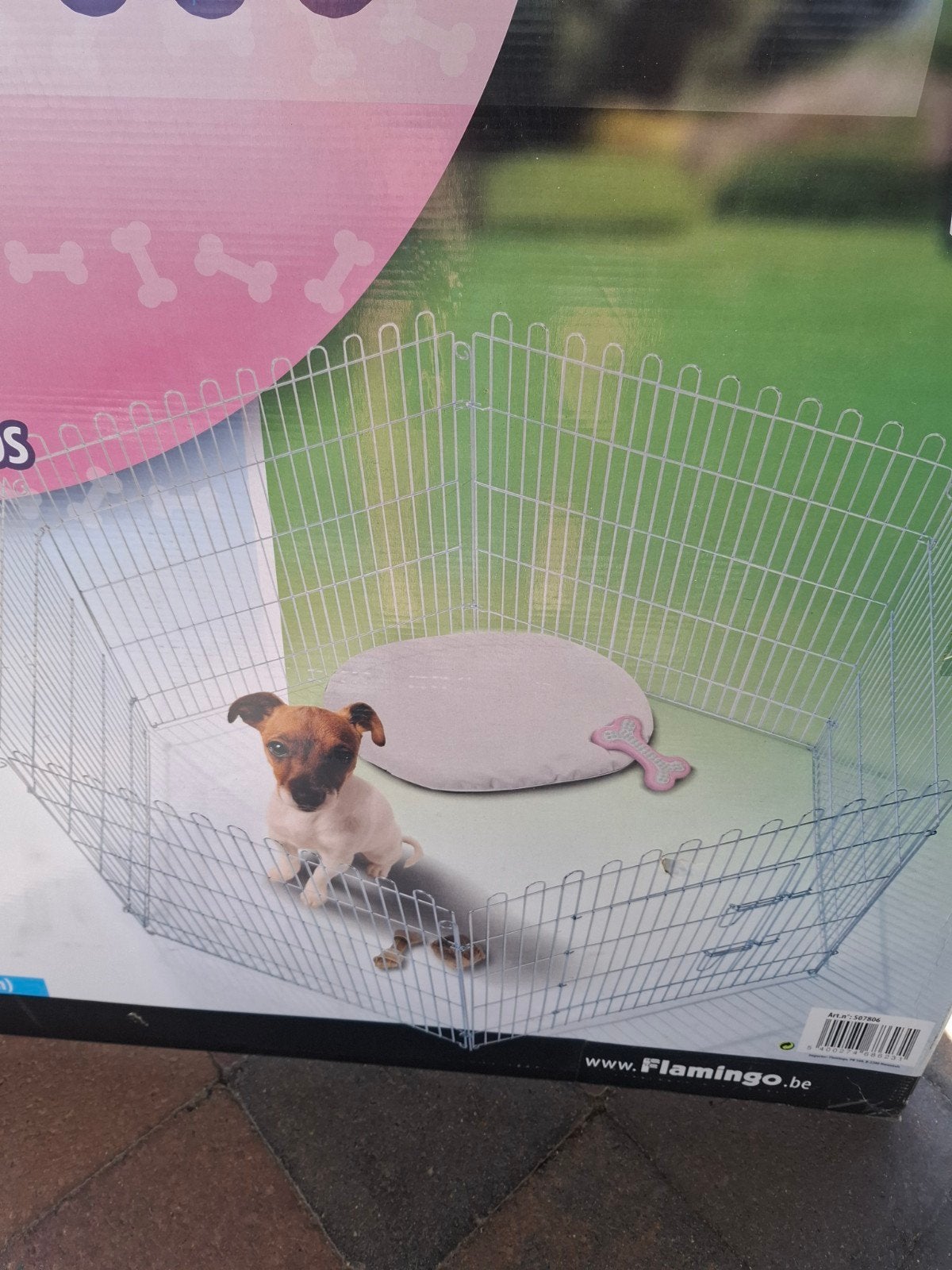 course à chiens, Animaux & Accessoires, Enlèvement