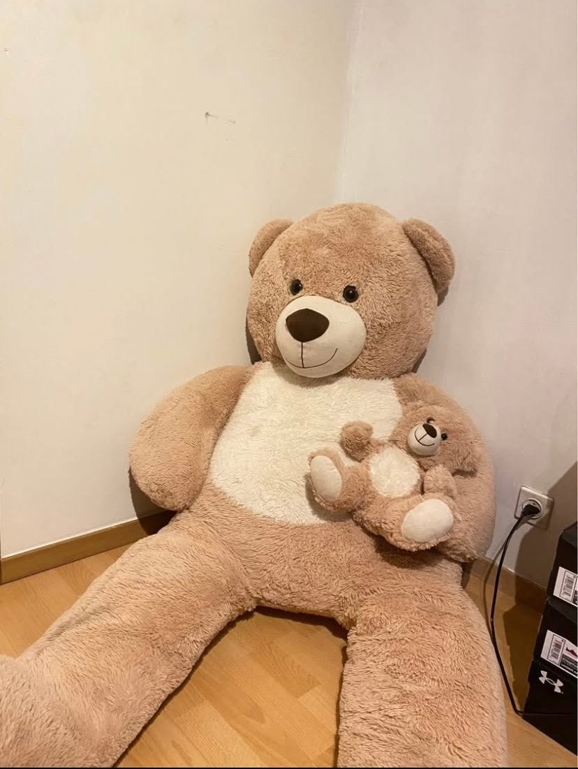Grote teddybeer met kleine knuffel, Ophalen, Zo goed als nieuw