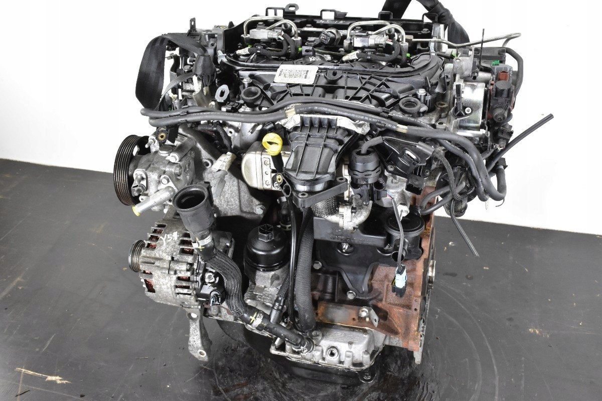 Moteur TXDB Nu FORD KUGA FOCUS, Envoi, Utilisé, Daihatsu