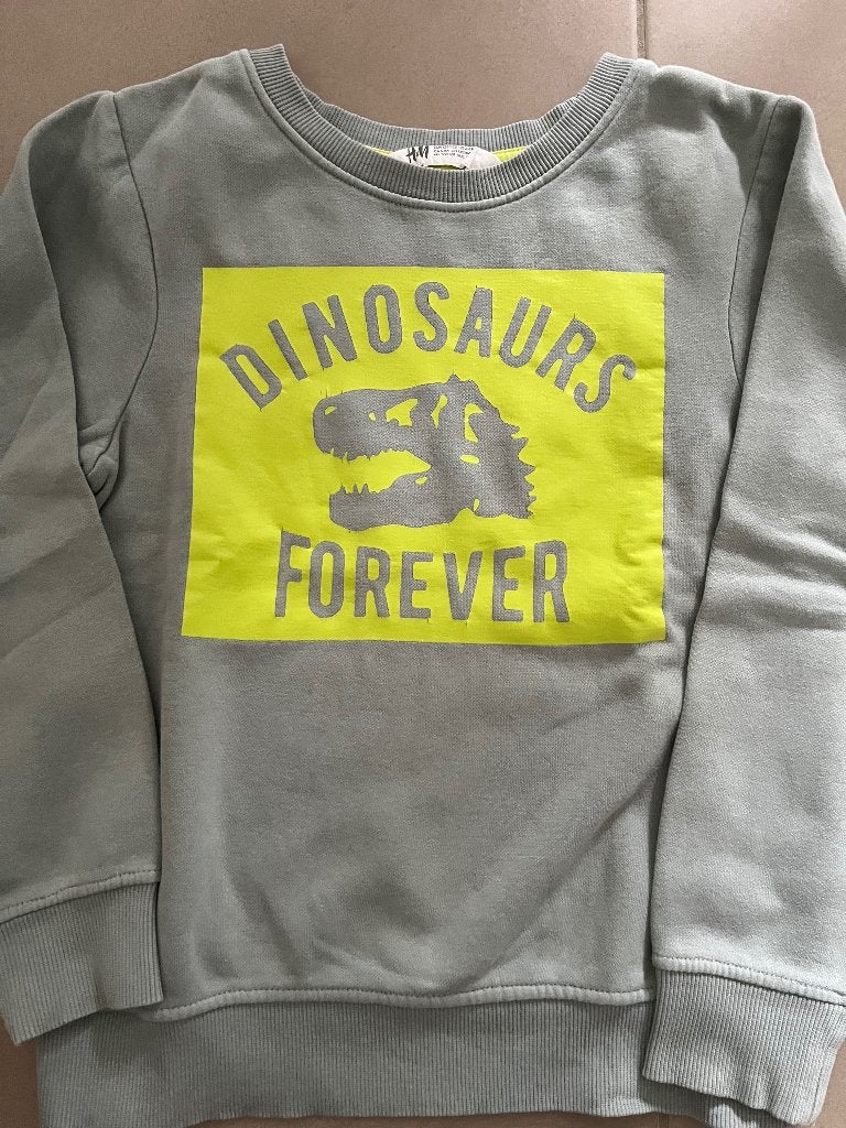 Sweater + hemd dino H&M, Ophalen, H&M, Jongen, Setje