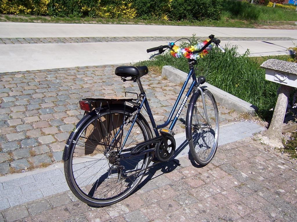 fiets, Fietsen en Brommers, Ophalen, Gebruikt, Overige merken, Versnellingen