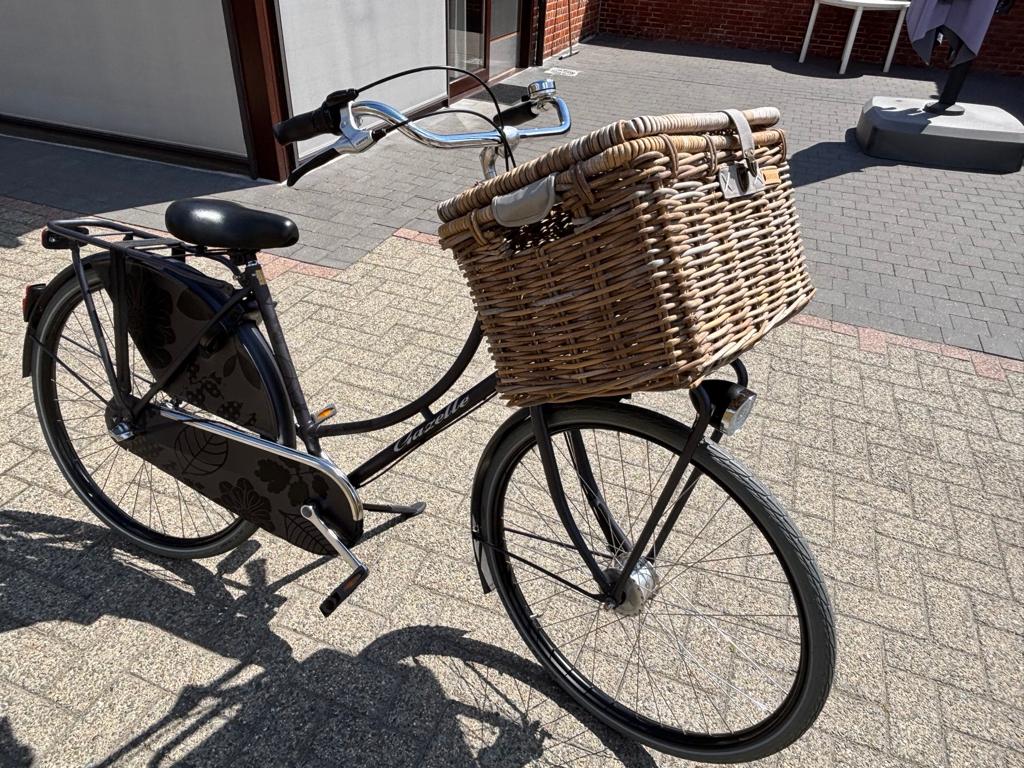 Gazelle damesfiets, Fietsen en Brommers, Fietsen | Dames | Damesfietsen, Ophalen, Terugtraprem, Versnellingen, Zo goed als nieuw