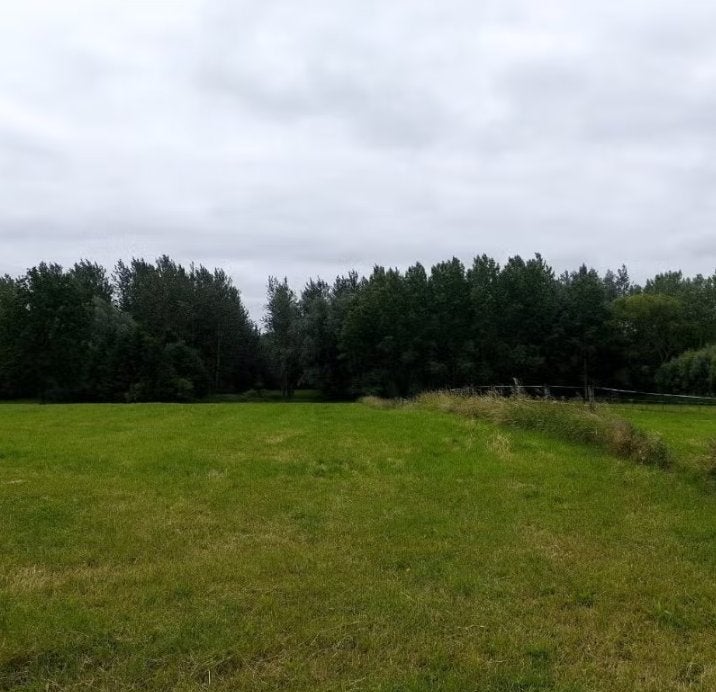 Weide kortenaken en Bekkevoort te huur, Dieren en Toebehoren