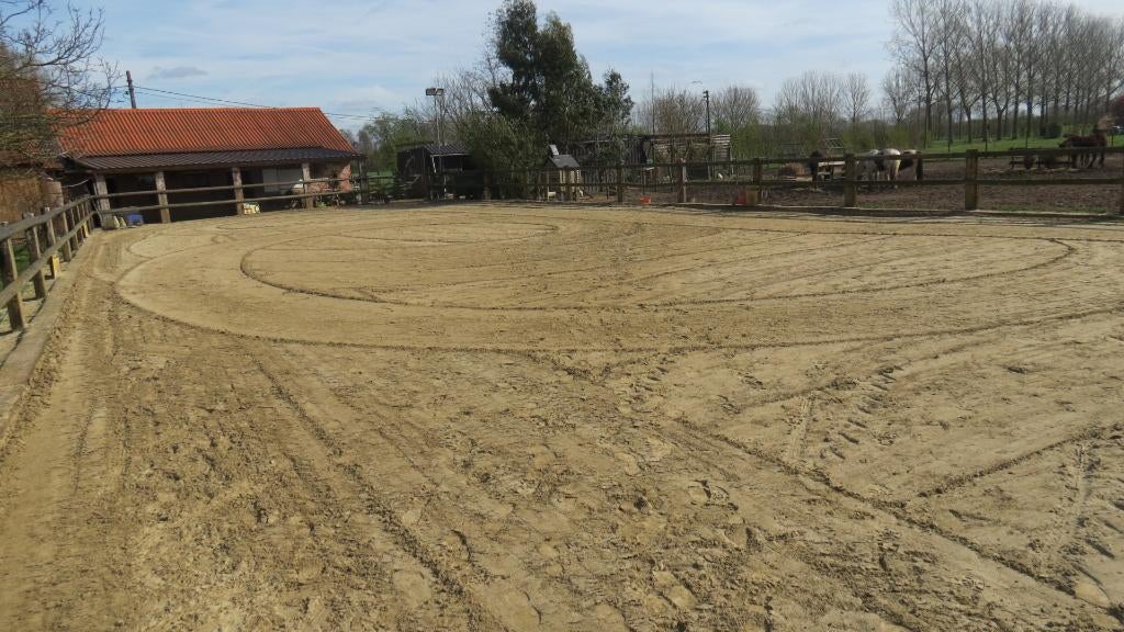 Ben jij een equicoach? Zoek je paard en ruimte?, Dieren en Toebehoren, Pony's, Niet van toepassing