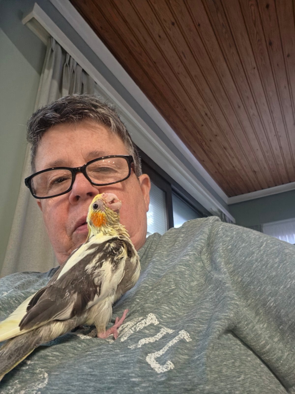 Valkjes zogoed als tam geringd Cinnamon en Opaline, Vrouwelijk, Parkiet, Geringd