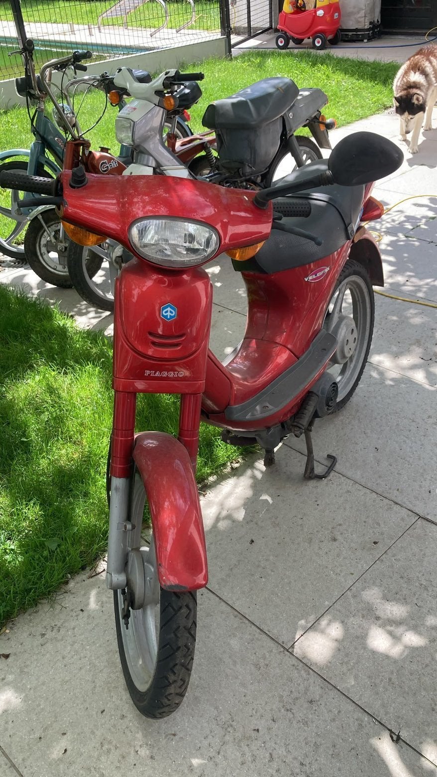 Paggio velofax 50cc 2t b-klasse, Klasse B (45 km/u), 50 cc, Ophalen, Overige merken