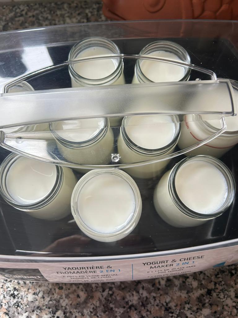 Yaourtière et fromagère, Enlèvement, Utilisé