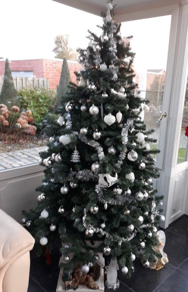 kerstboom 230cm- scandia pine blue, Ophalen, Gebruikt
