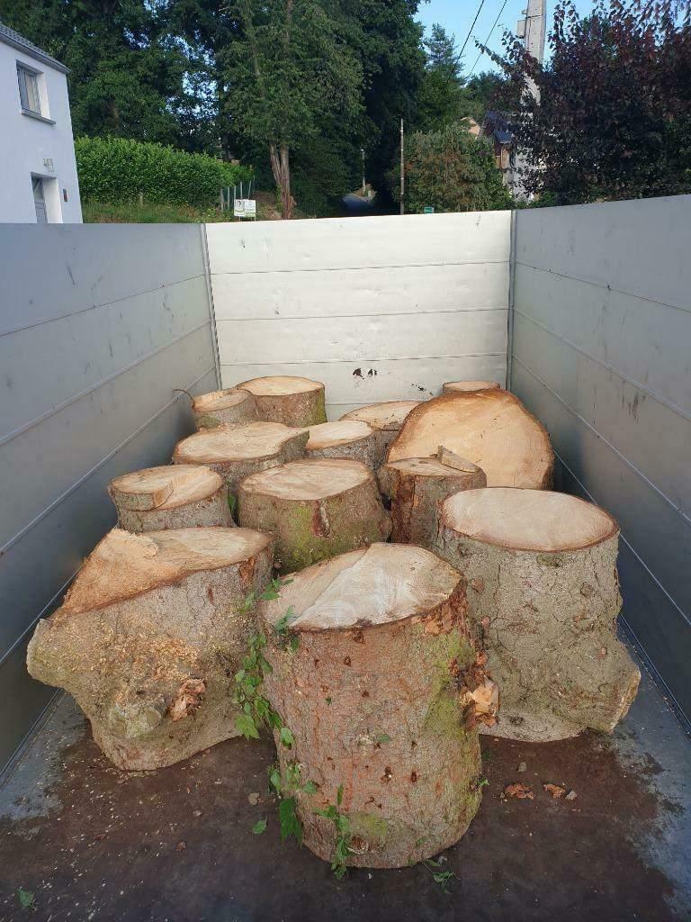 Travaux d'abattage / démontage / élagage d'arbres, Ophalen