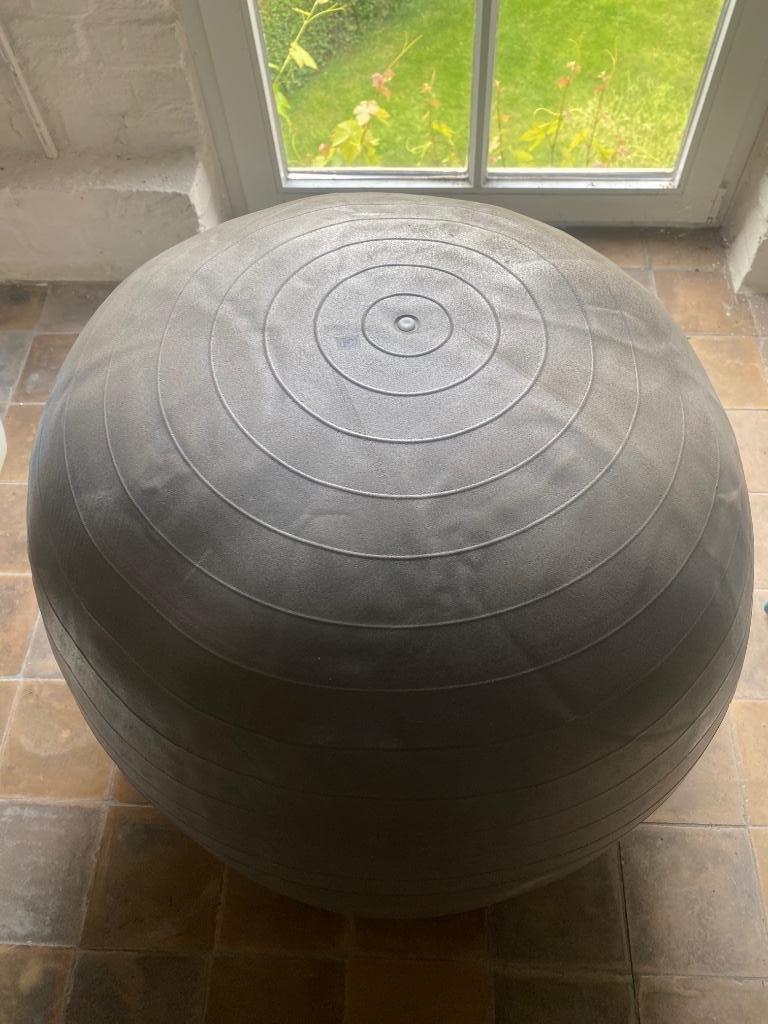 fitness bal, Sport en Fitness, Fitnessmaterialen, Ophalen, Gebruikt, Benen, Fitnessbal