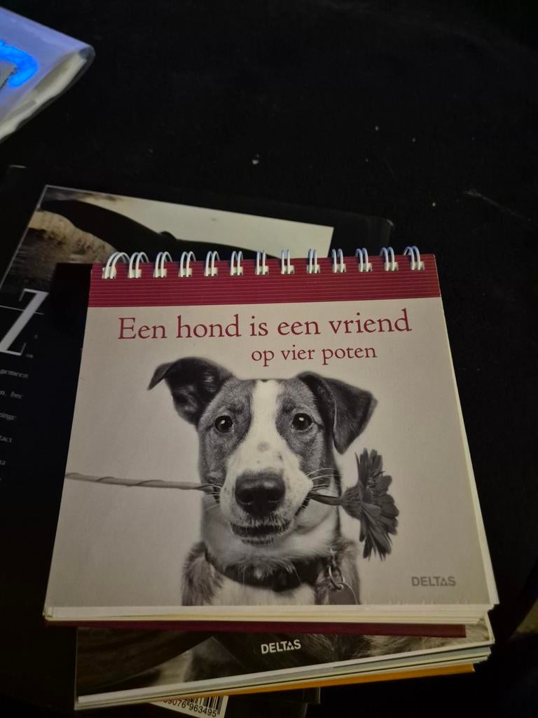 Een hond is een vriend op vier poten, Ophalen of Verzenden