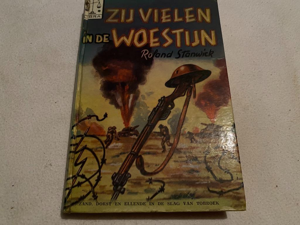 Zij vielen in de woestijn (Roland Stanwick), Livres, Guerre & Militaire, Utilisé, Général, Enlèvement
