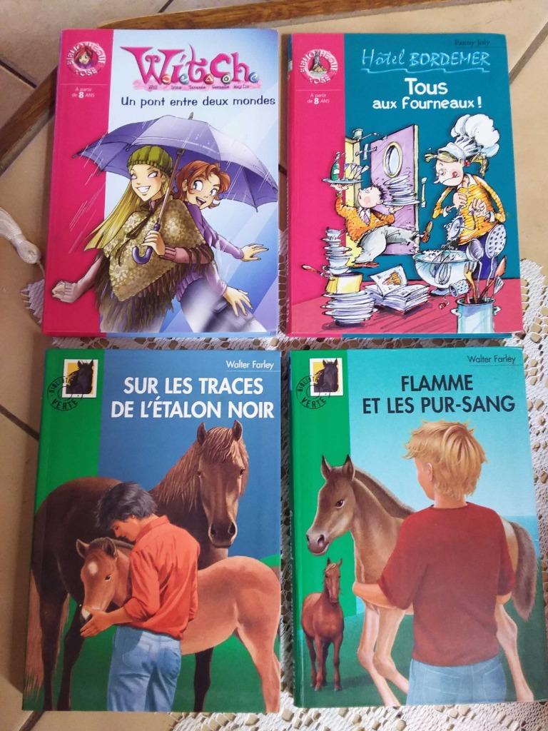 Livres pour enfants à partir de 8 ans, Ophalen of Verzenden, Zo goed als nieuw, Non-fictie