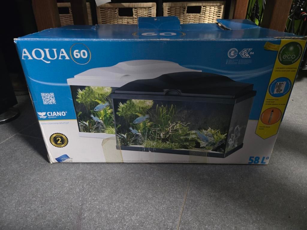 Aquarium, Divers, Enlèvement