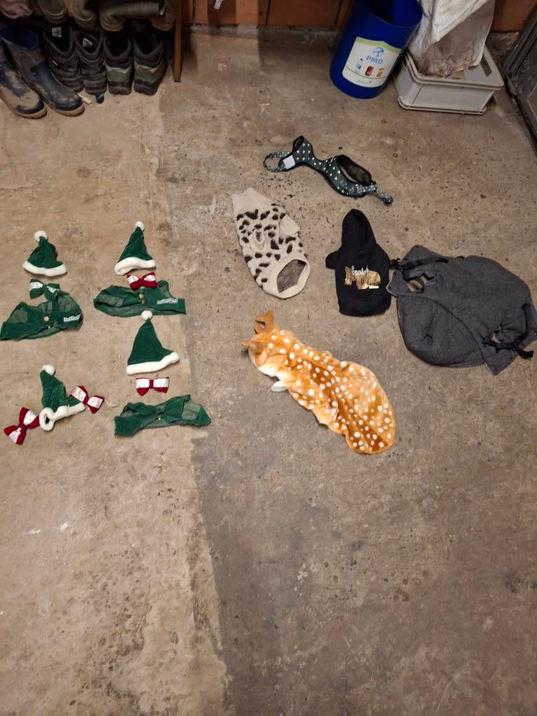 Hondenpakjes kerst en gewoon, Ophalen