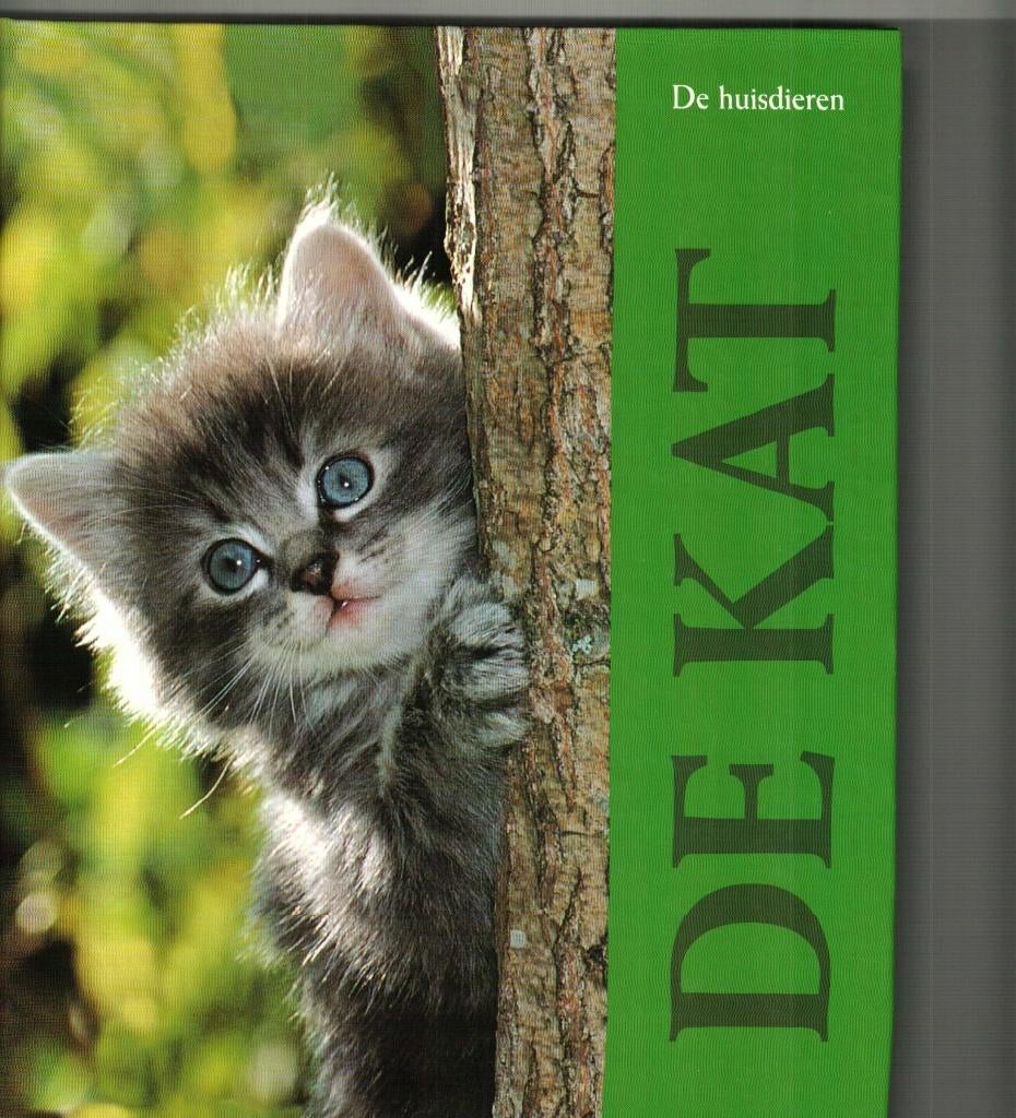 De kat Jean-Luc Renck  uitgave artis-historia 162 blz, Boeken, Ophalen of Verzenden, Katten