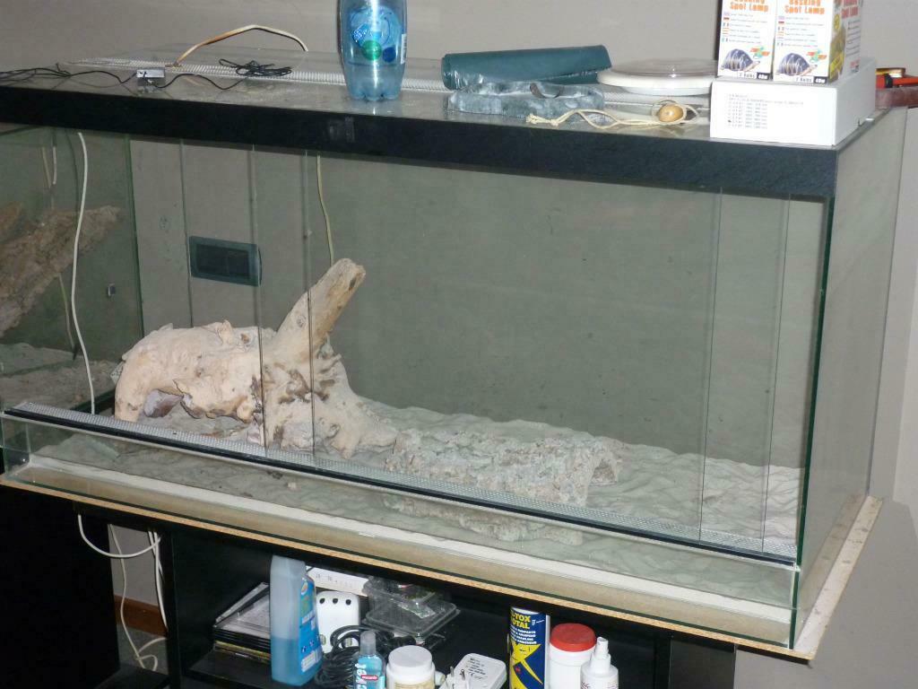 Table pour terrarium, Enlèvement, Utilisé, Autres types