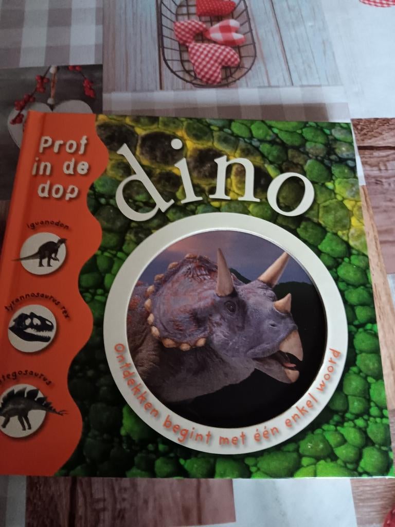 Arlon - Dino, Livres, Enlèvement ou Envoi, Arlon