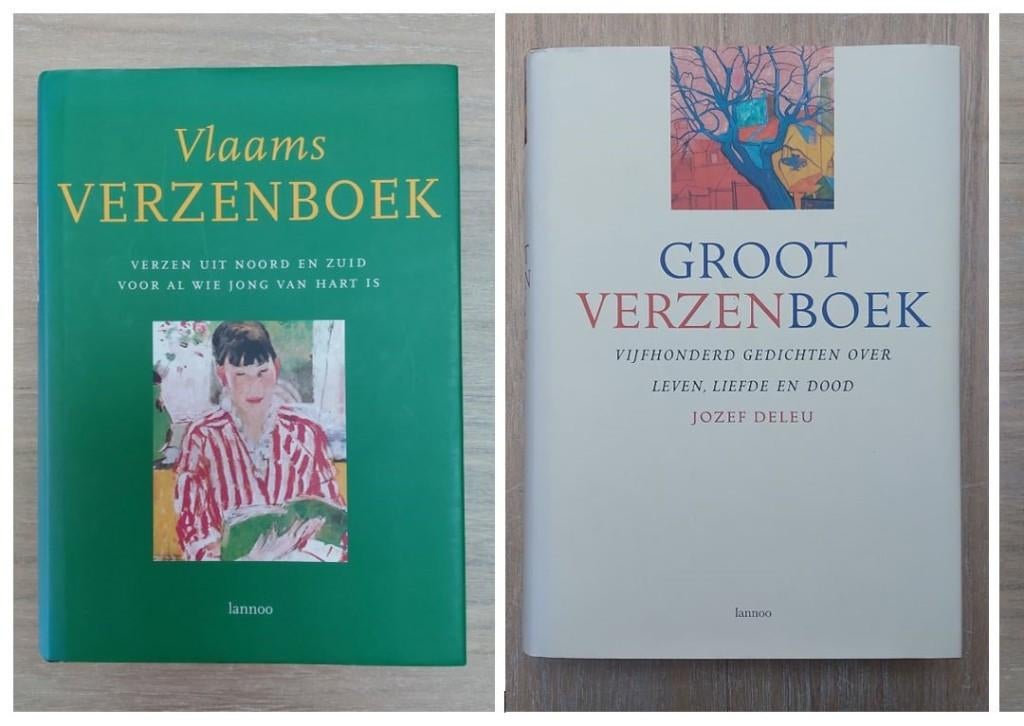 Vlaams Verzenboek & Groot Verzenboek, Ophalen, Zo goed als nieuw