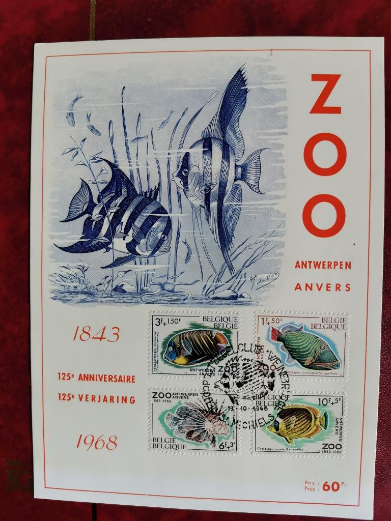 Belgie Maximumkaart 1968 Zoo Antwerpen - vissen, Postzegels en Munten, Ophalen of Verzenden, Gestempeld, Dier of Natuur