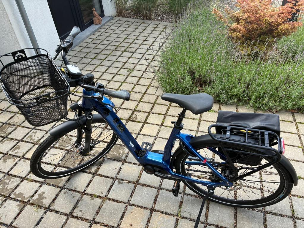 2021 Flyer 10 km fiets met verwijderbare batterij, Nieuw, 59 cm of meer, 50 km per accu of meer, Ophalen
